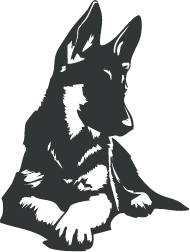 Riverbend Dog Breeding Health And Temperament